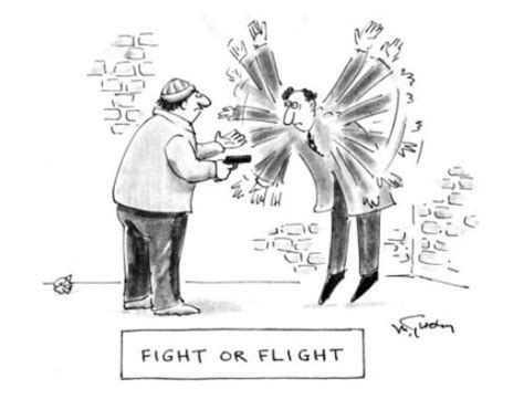 Evolutionary (Fight or flight). | Fight or flight, Fight, Male sketch