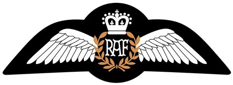 89043 – Royal Air Force (RAF) Pilot Wings – A&J Mugs