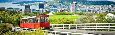 Wellington Accommodation | Distinction Wellington Century City Hotel | Wellington Attractions