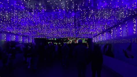 Columbus zoo lights - gnomlot