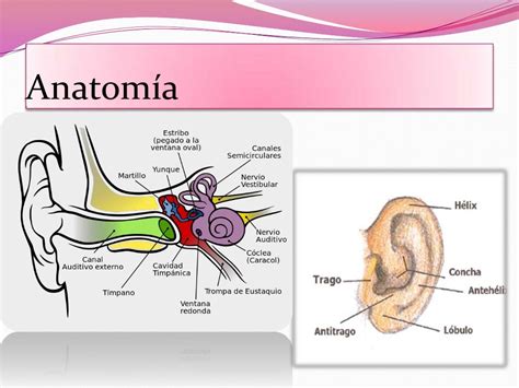 Otitis externa