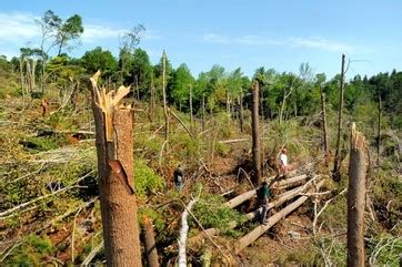 Tornadoes - THe Impact of Catastrophic Events on Ecosystems