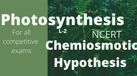 Chemiosmotic Hypothesis/chemiosmotic theory in class 11 #SWS² Study wih Sriza - YouTube