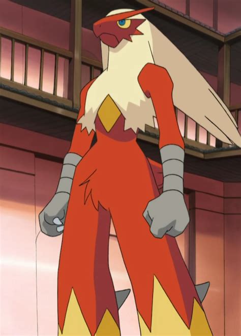 May's Blaziken - The Pokémon Wiki