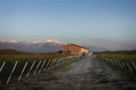 MASI | Masi Tupungato estates in Mendoza, Argentina