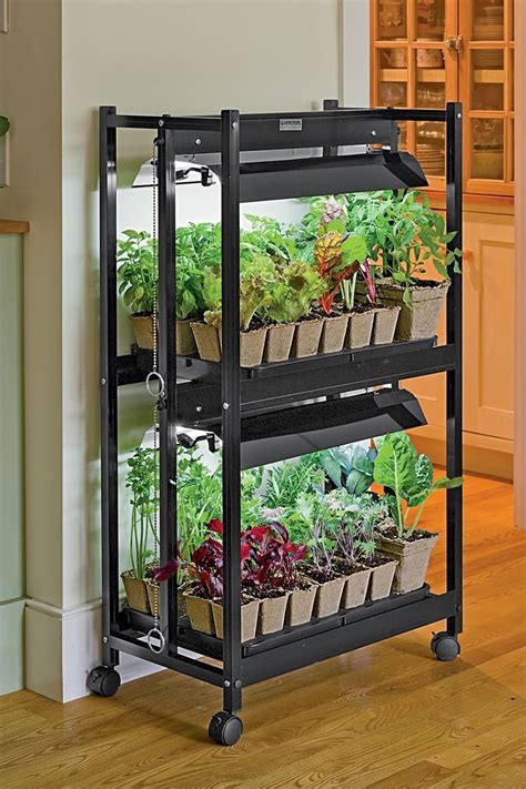 Indoor Vegetable Garden Tips, Starting Vegetable Gardens from Seeds ...