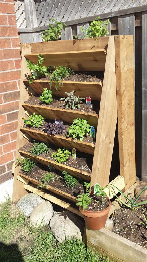 Herb Garden Planted - Imgur | Vegetable garden boxes, Vertical ...