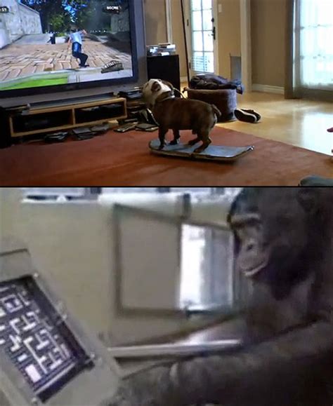 5 Strange Videos of Geeky Animals Playing Video Games - TechEBlog