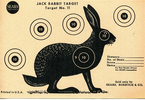 Printable Animal Targets