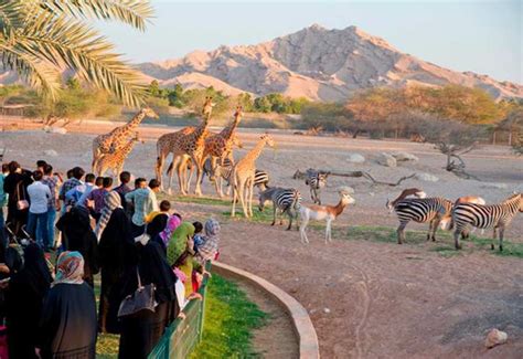 Al Ain Zoo, Al Ain, UAE - Timings, Entry Fee - Holidify