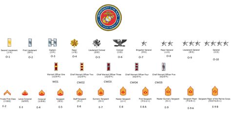 Usmc Ranks