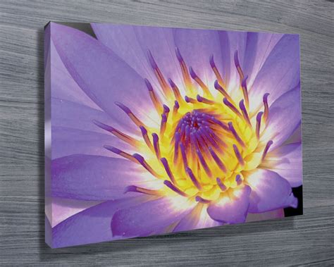 Purple-flower-wall-art - Canvas Prints Australia