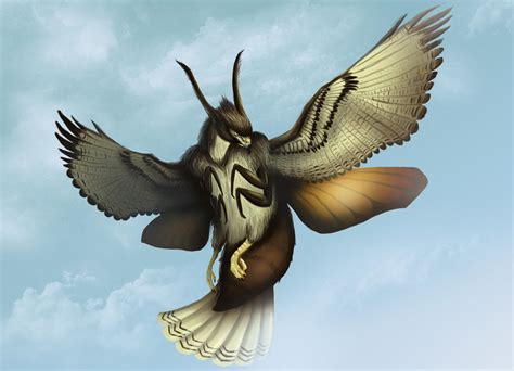 Hawk Moth by Legend13 on DeviantArt