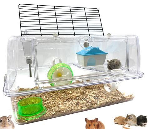 Gerbil Cage Setup Ideas | ubicaciondepersonas.cdmx.gob.mx