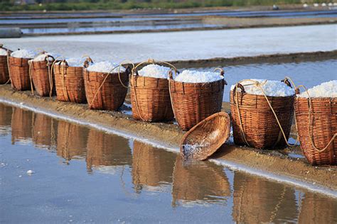 310+ Salt Field Vietnam Stock Photos, Pictures & Royalty-Free Images - iStock