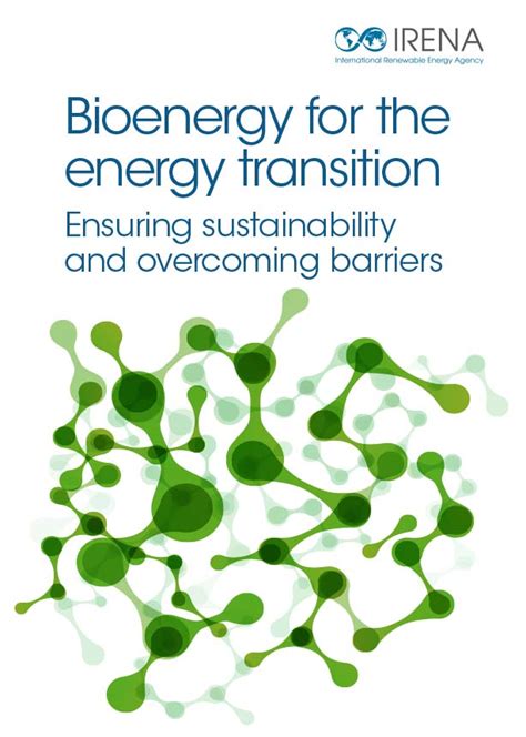 Bioenergy for the Transition: Ensuring Sustainability and Overcoming Barriers