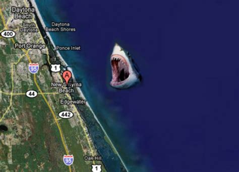 New Smyrna Beach Asserts Itself as Shark Attack Capital of World | surftherenow.com