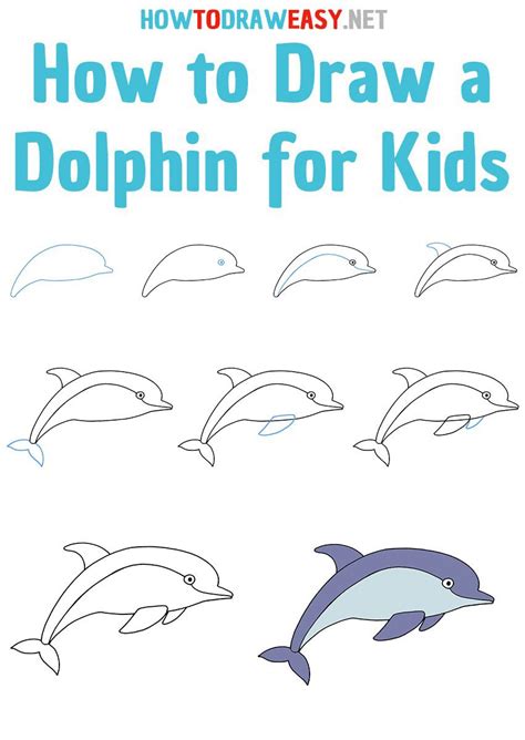 how to draw a dolphin easy step by step for beginners - Big Shot ...