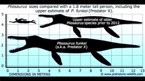 Predator X, Pliosaurus funkei, the largest pliosaur ever discovered ...