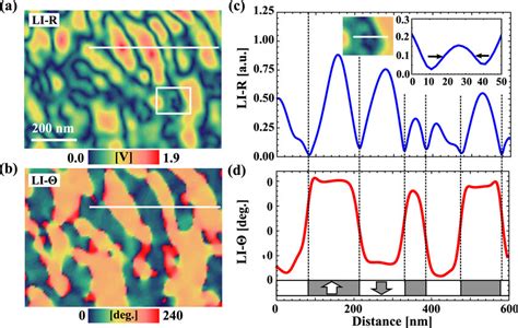 Tip-FMR MRFM images for (a) lock-in intensity (LI-R) and (b) phase... | Download Scientific Diagram