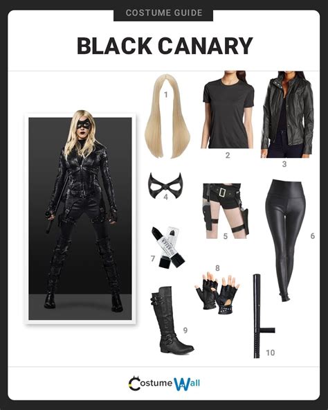 Dress Like Black Canary Costume | Halloween and Cosplay Guides