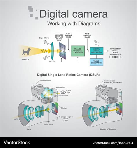 Digital camera working with diagrams Royalty Free Vector