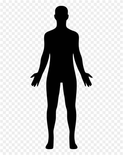 Png File Svg - Human Body Silhouette Png, Transparent Png - 428x980(#2350603) - PngFind