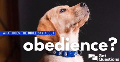 What does the Bible say about obedience? | GotQuestions.org