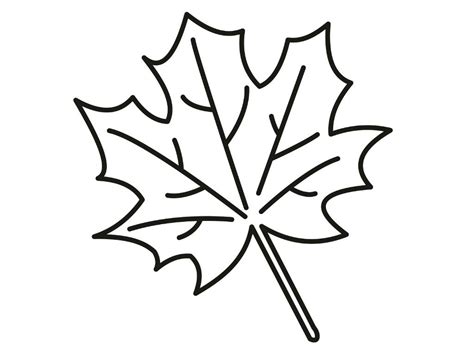 Easy Maple Leaf Drawing at GetDrawings | Free download