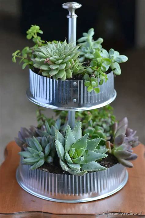 28 Creative Indoor Succulent Planter Ideas to Brighten Your Space