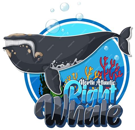 Free Vector | Right whale cartoon logo with carton character