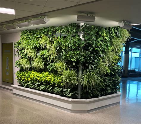 LiveWall Living Wall Brings Natural Beauty and Calm to the TSA Checkpoint at Appleton ...