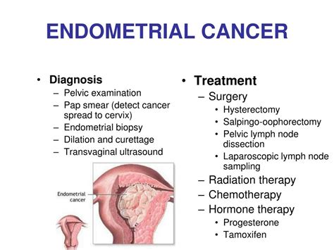 Endometrial Cancer Symptoms Causes Risk Factors Compl - vrogue.co