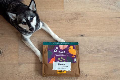 Best Dog Food Delivery UK 2024 (Tried and Tested) • helloBARK!