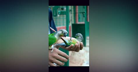 Prani: The Pet Sanctuary In Bangalore | LBB