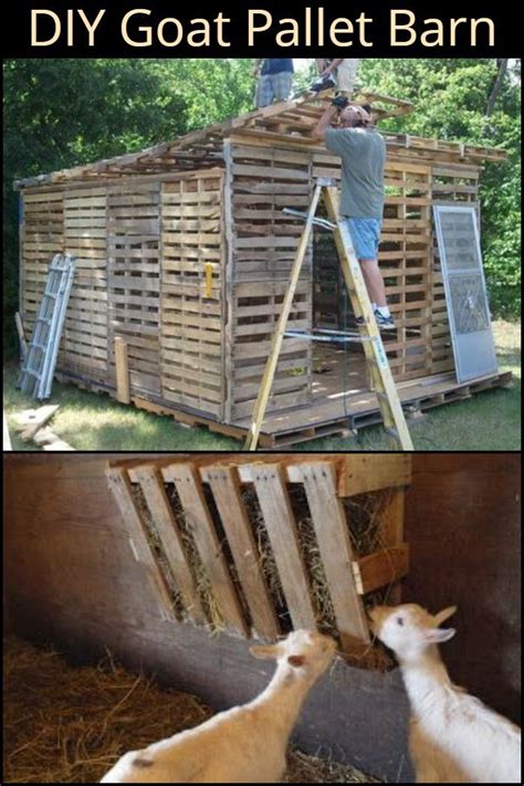 Long-Lasting Goat Pallet Barn: Cheap 8-Step Project | Goat barn, Goat house, Goat shelter