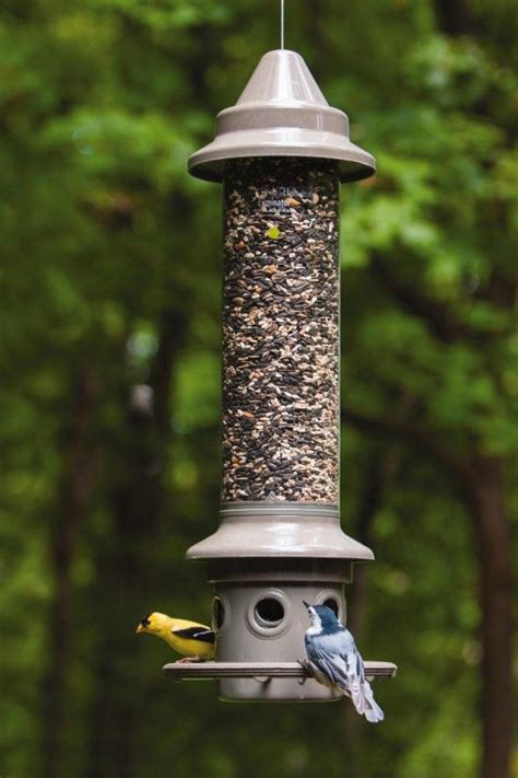 WBU Eliminator Squirrel Proof Bird Feeder | Squirrel proof bird feeders, Best bird feeders, Bird ...