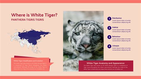 White Tiger Habitat Map