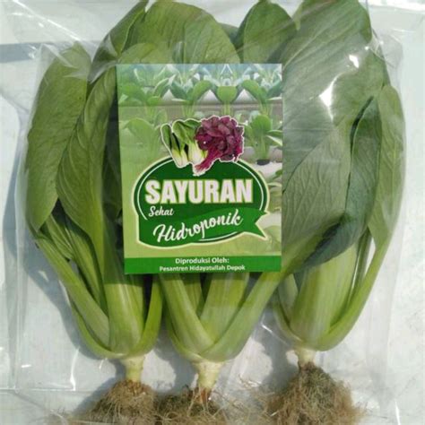 Jual SAYUR SEGAR PAKCOY HIDROPONIK | Shopee Indonesia