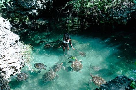 Swimming with Turtles - Tulia Zanzibar