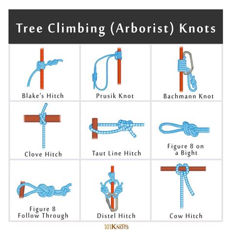 Rock and Tree Climbing Knots: Basic Guide with List | Fiskeknutar, Hantverk