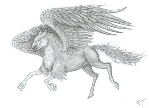 Hippogriff by Ruth-Tay on DeviantArt