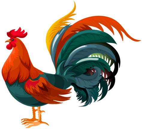 Rooster Transparent PNG Clip Art Image | Rooster illustration, Rooster ...