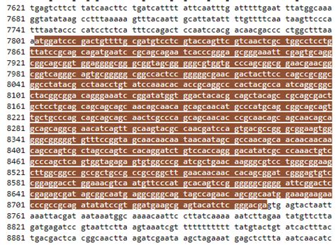 Solved Use the DNA sequence below for the following | Chegg.com