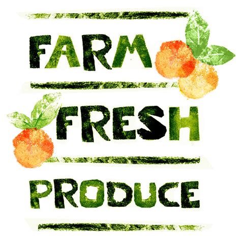 Farm Fresh Produce Mixed Media by Stephanie Thompson