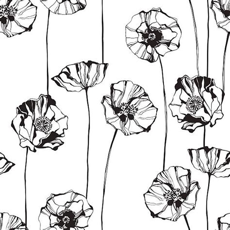 Royalty Free Poppy Clip Art, Vector Images & Illustrations - iStock