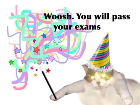 Whoosh. you will pass your exams | Whoosh / вжух | Cute memes, Exams ...