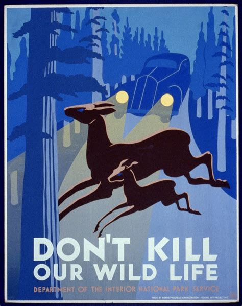 Don't kill our wild life - color film copy slide | Library of Congress