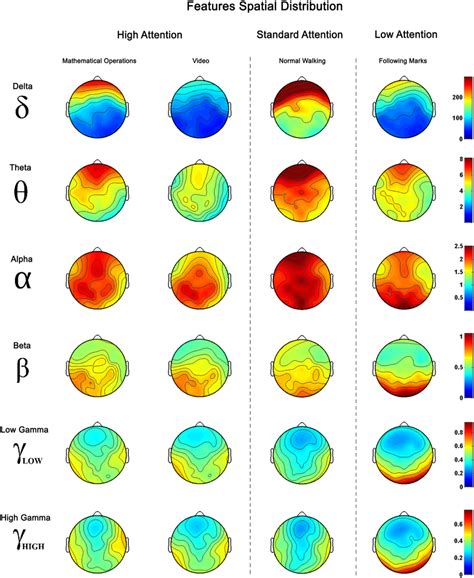 Features Spatial Distribution. Spatial distribution is represented for ...