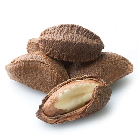 Brazil Nuts In Shell • Bulk Brazil Nuts • Bulk Nuts & Seeds • Oh! Nuts®